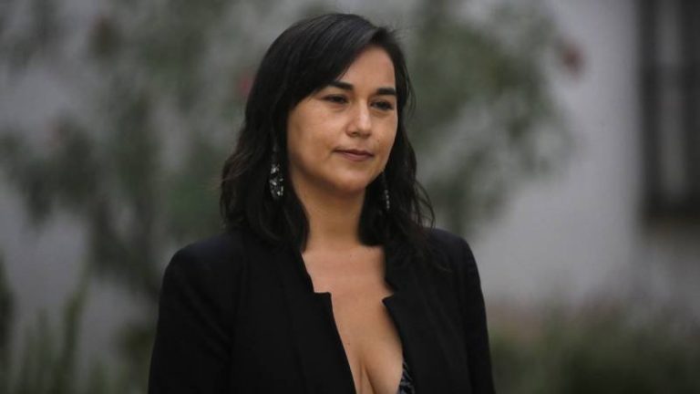 Francisco Vidal sobre polémica de Izkia Siches: 