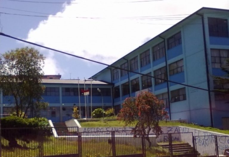 Plaga de ratones en cocina de colegio de Puerto Montt deja a más de 600 alumnos sin clases