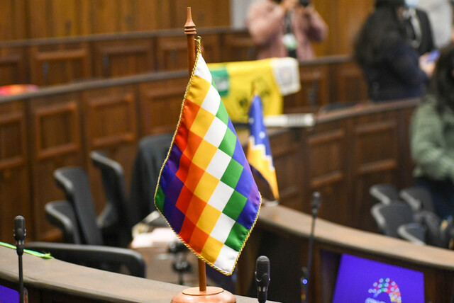 Pleno de la Convención rechazó todos los artículos propuestos por la Comisión de Pueblos Indígenas