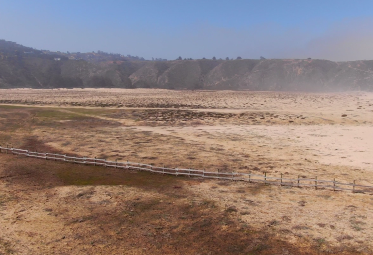 Polémica por venta de parcelas al interior del Parque Nacional Puyehue