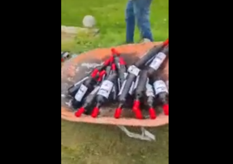 Usaron incluso carretilla: Camión que transportaba vinos se volcó y la gente se llevó las botellas