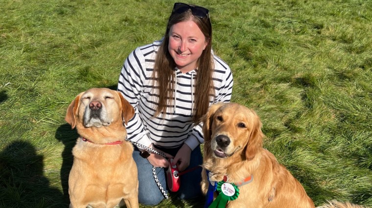 Mujer murió junto a sus perros luego que fuera atropellada en Londres