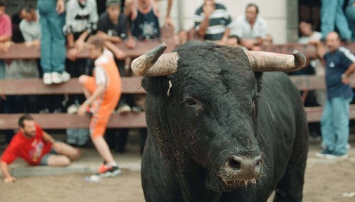 Joven de 16 años murió por ataque de toro en un encierro en Portugal: Animalistas piden eliminar estos eventos