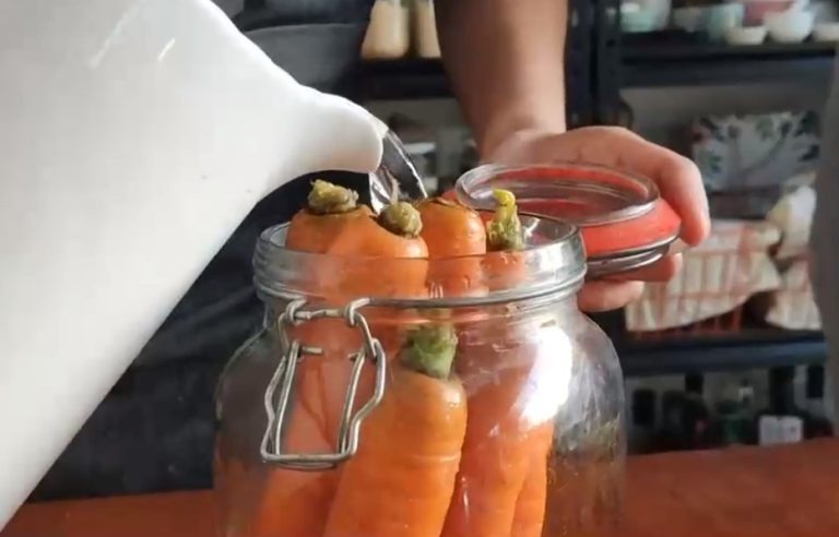 3 tips para conservar alimentos y evitar su desperdicio