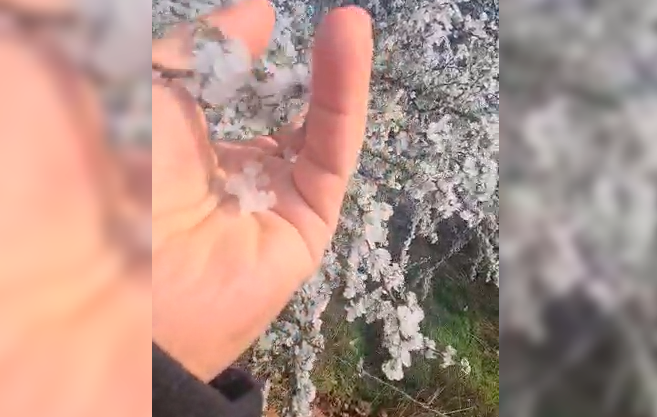 ¿Qué es la niebla engelante? Peligrosa escarcha congeló vastos sectores de Chile