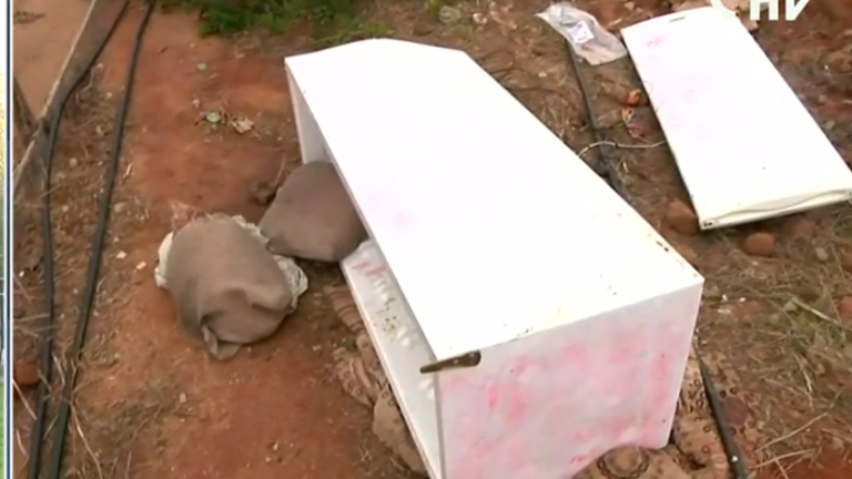 Posible ajuste de cuentas: Hombre fue amarrado y lanzado a una quebrada en un refrigerador