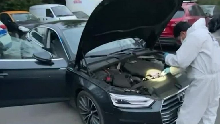 Cae peligrosa banda que utilizaba a indigentes para crear empresas y vender autos robados