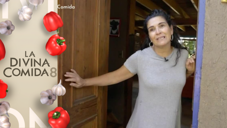 “Encuentro que la naturaleza es tan importante para ser feliz”: Esta es la casa de “Pepi” Velasco