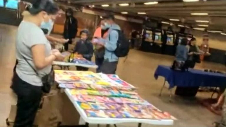 Comercio ambulante desatado: Un día después del desalojo de Estación Central, los vendedores ilegales ya estaba de vuelta