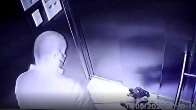 ¡Generó repudio! Registran a vecino de Ñuñoa maltratando a su perrita en ascensor