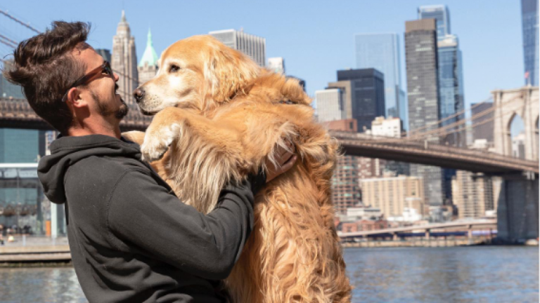 Triste noticia: Influencer y su mascota perdieron la vida en grave accidente de tránsito