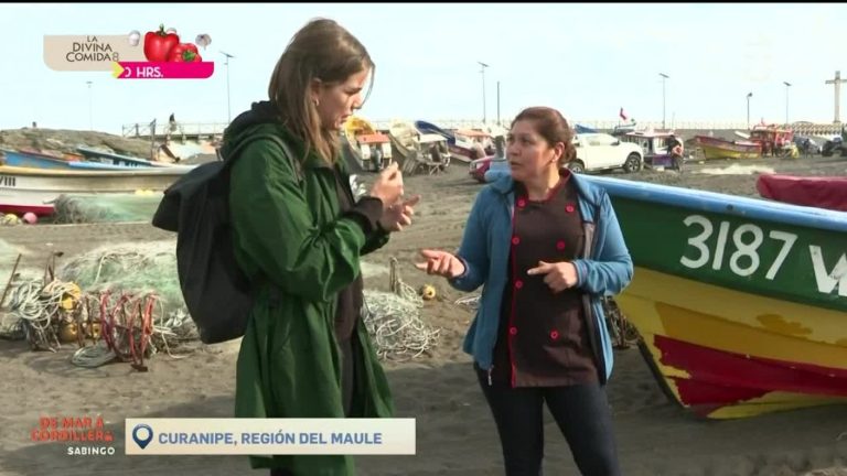 De Mar a Cordillera: Millaray Viera visitó 