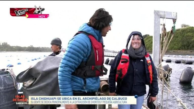 Islas De Chile: Isla Chidhuapi