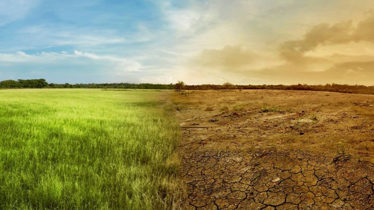 Calentamiento global: OMM reconoce que antes de 2026 la temperatura del planeta podría superar el punto de quiebre