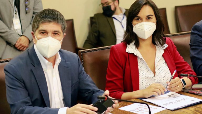 Comisión Mixta que revisaría proyecto de Estado Intermedio fue dejada sin efecto