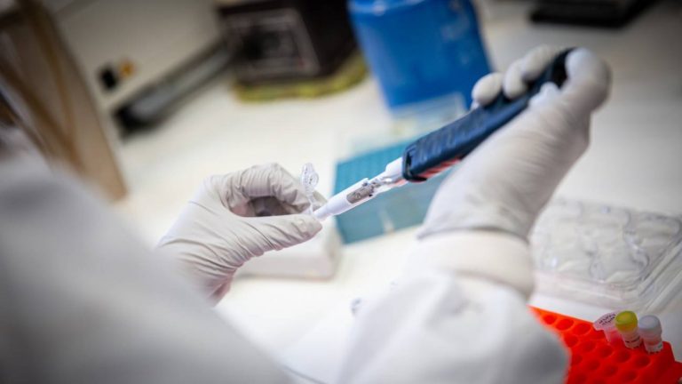 Israel y Suiza detectan primeros casos sospechosos de viruela del mono