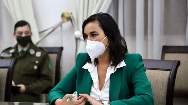 Izkia Siches tras analizar Estado de Excepción en macrozona sur: 