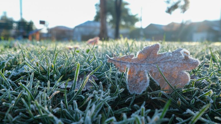 ¿Qué es la masa de aire polar? La 