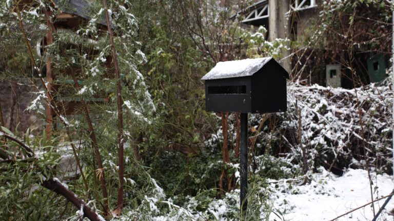 Masa de aire polar: ¿Podría caer nieve esta semana por las bajas temperaturas?