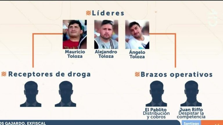 ¿Cuáles eran los roles que cumplían 