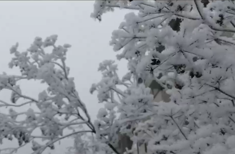 Atención inviernistas: Anuncian posibilidad de aguanieve en Santiago esta noche