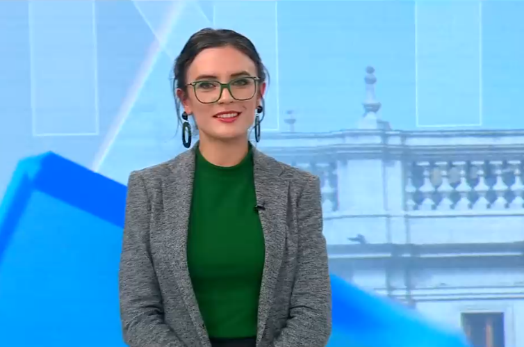 Ministra Vallejo y proyecto para fijar precio del gas: 