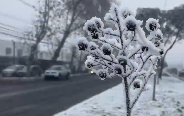 Nieve: Un leve alivio contra la megasequía