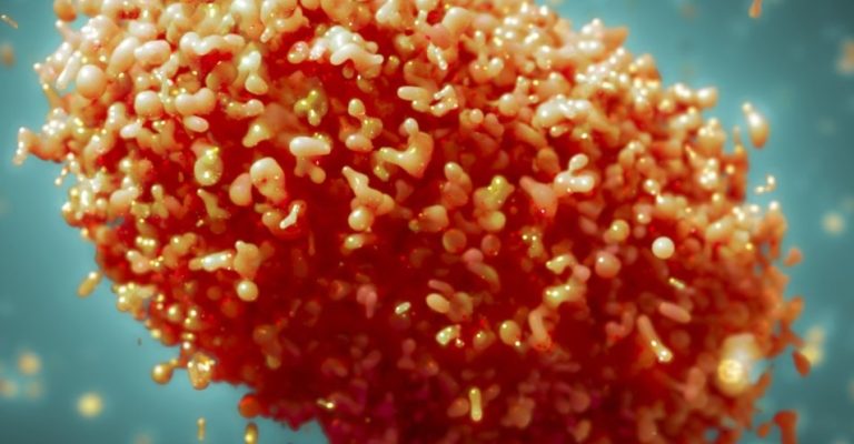 Reino Unido es el país con más contagios: La OMS eleva a 780 los casos globales de viruela del mono