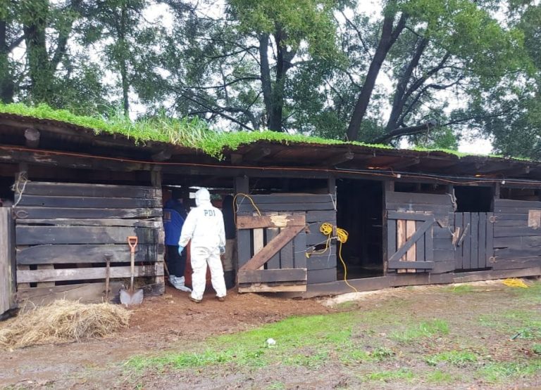 Tras 24 años desaparecida: Hombre confiesa asesinato de su esposa y hallan osamentas en Osorno