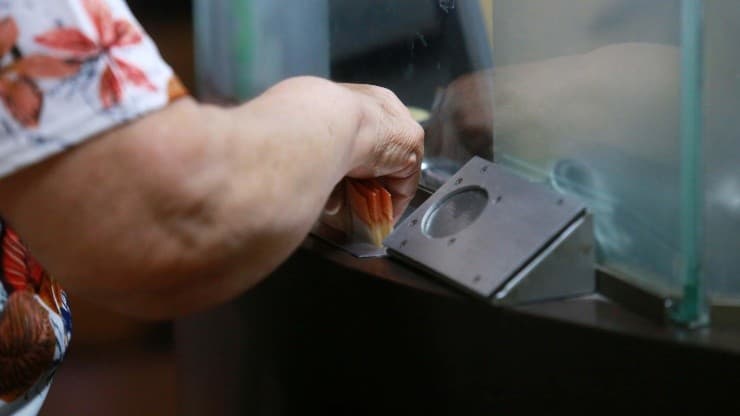 Paso a paso: Cómo postular al Bono al Trabajo a la Mujer y recibir hasta $570 mil al año