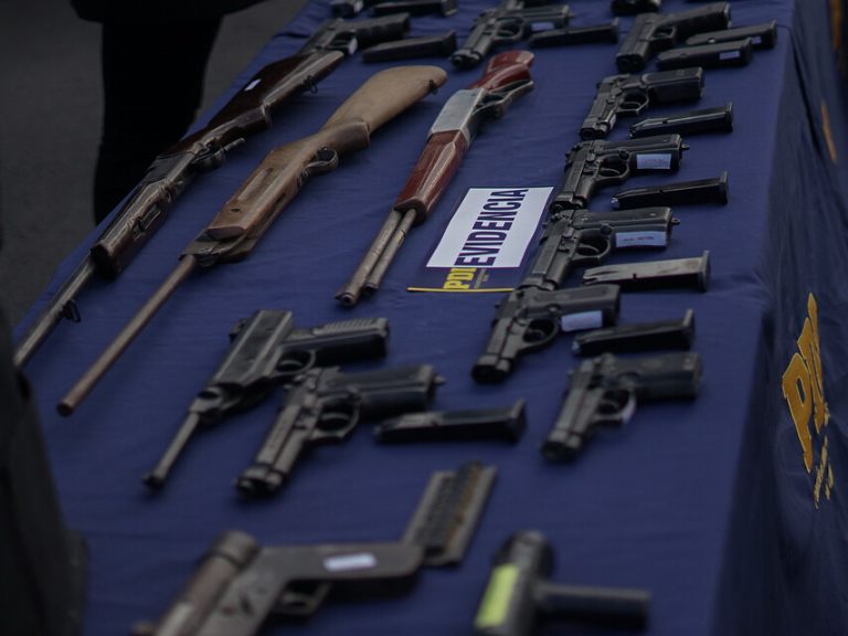 Izkia Siches reiteró llamado a entregar armas de fuego: 