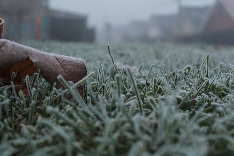 Atención fanáticos del frío: ¿Cuándo comienza el invierno en Chile?