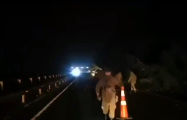 La Araucanía: Diversos cortes interrumpieron el tránsito en Ruta 5 Sur