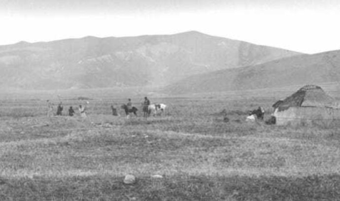 Tras 7 siglos: Científicos descubren origen de la Peste Negra y despejan gran misterio de la ciencia