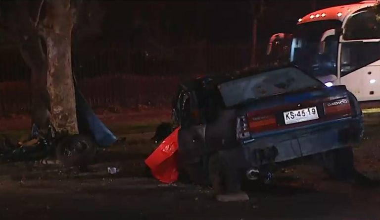 Escapaban de carabineros y chocaron con un árbol: Una mujer murió y sus acompañantes se fugaron