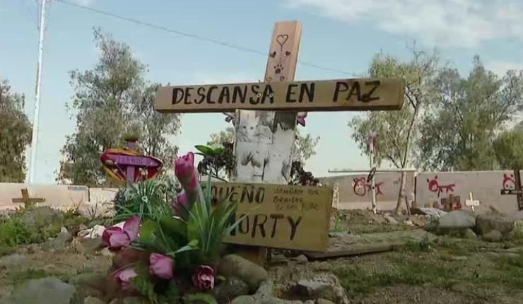 Polémica por cementerio ilegal de mascotas: 