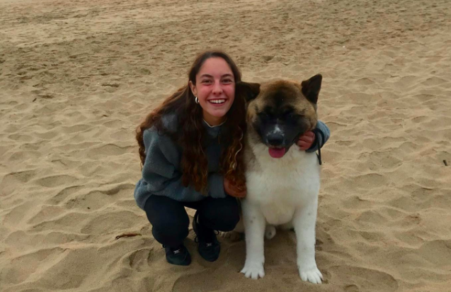 Joven denuncia que vecino mató a su perro de un disparo en Pirque: 