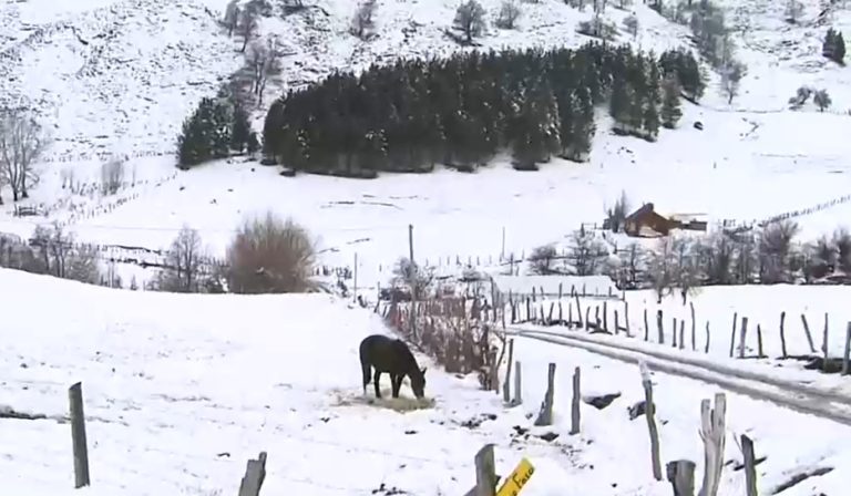 Más de 1.500 personas se encuentran aisladas en Lonquimay tras intensas nevazones