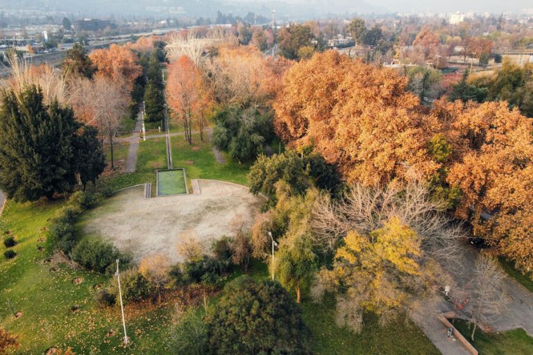 ¡Más árboles, menos cemento! Descubre los 7 principales beneficios del arbolado en las ciudades