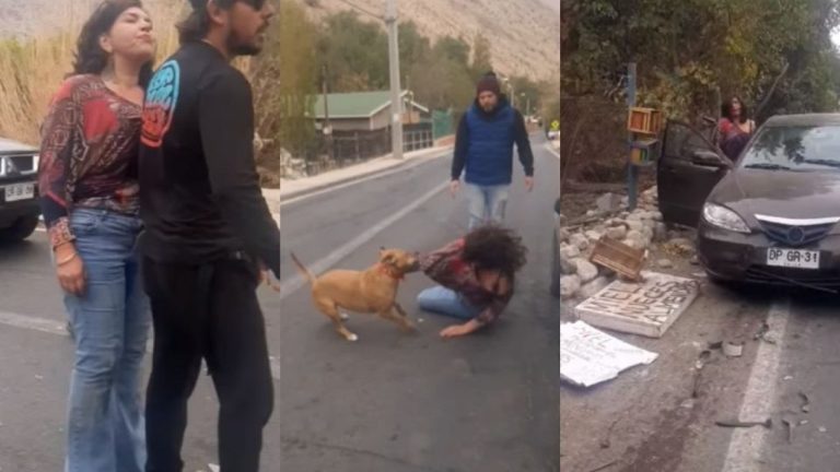 Conductora ebria en Paihuano protagonizó escándalo: Agredió a familia y su mascota
