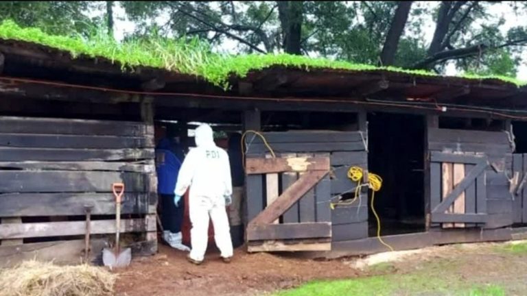 Después de 24 años, un hombre le confesó a sus hijas que mató a su esposa y la enterró cerca de la casa