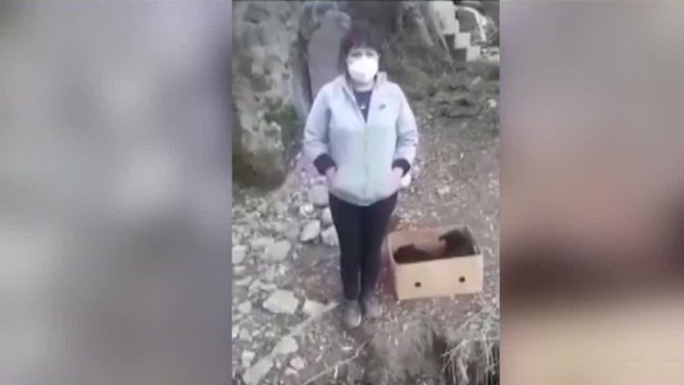 “¿Te gustaría que te botaran a ti?”: Mujer que abandonaba perritos en Coquimbo fue sorprendida in fraganti