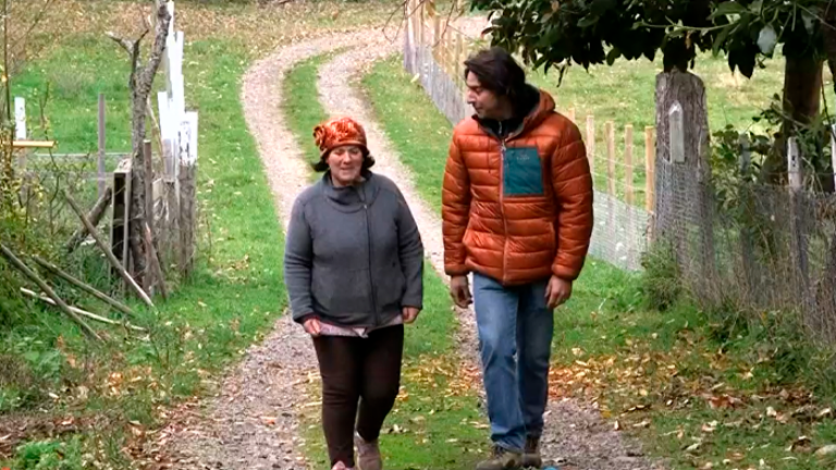 Islas de Chile: Isla Huapi