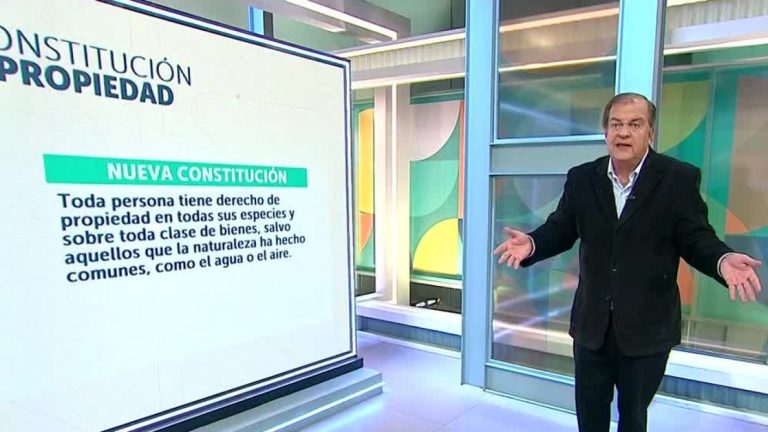 Francisco Vidal y el derecho de propiedad en la NC: “Si hubiese sido Constituyente, yo hubiese dicho 'valor comercial'”