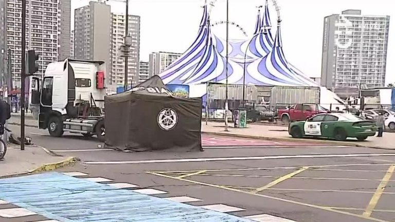 Camión atropelló a transeúnte en la Alameda: Falleció por negligencia del conductor