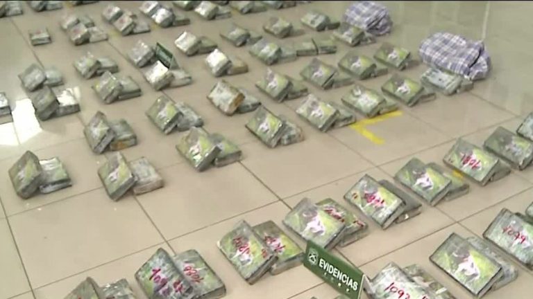 Operación Pitbull: OS7 de Carabineros decomisó más de media tonelada de cocaína