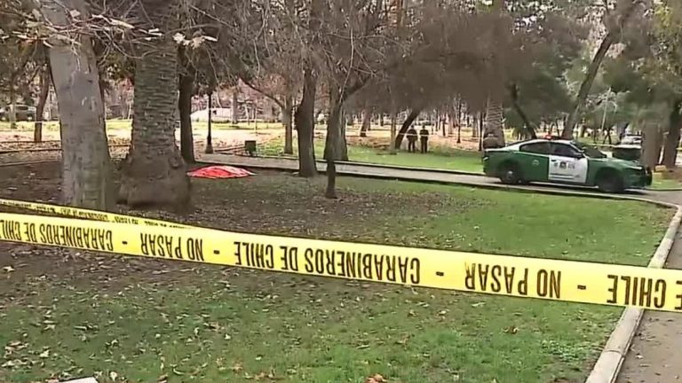 Lo seguían desde Barrio Bellavista: Joven es asaltado y asesinado en el Parque Forestal