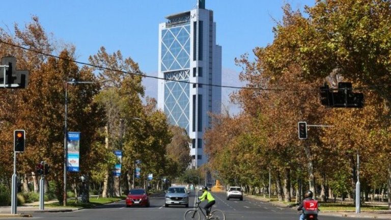 ¡Más árboles, menos cemento! Descubre los 7 principales beneficios del arbolado en las ciudades