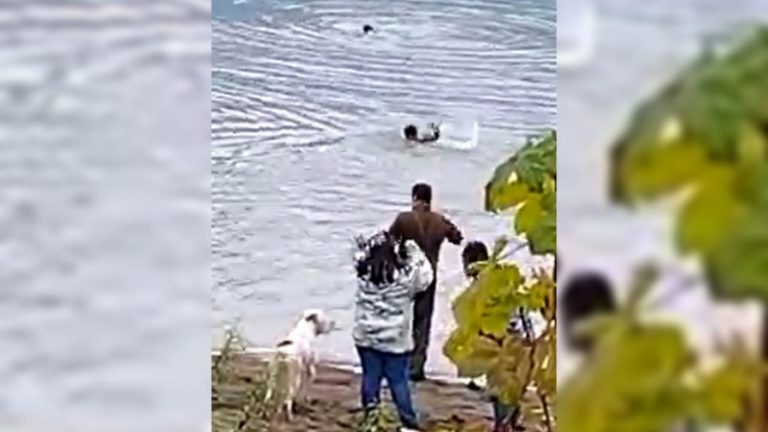 Vecino rescata a niña y a carabinero de aguas congeladas en Aysén: 