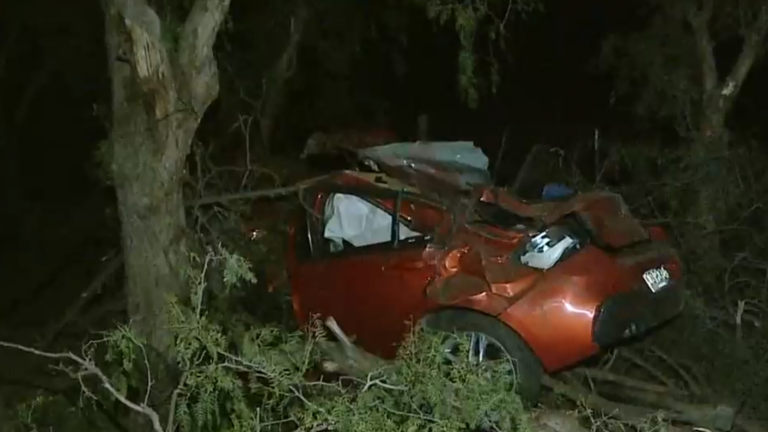 Adolescentes robaron un auto en Los Andes: Uno de ellos murió al chocar contra un árbol de vuelta a Santiago